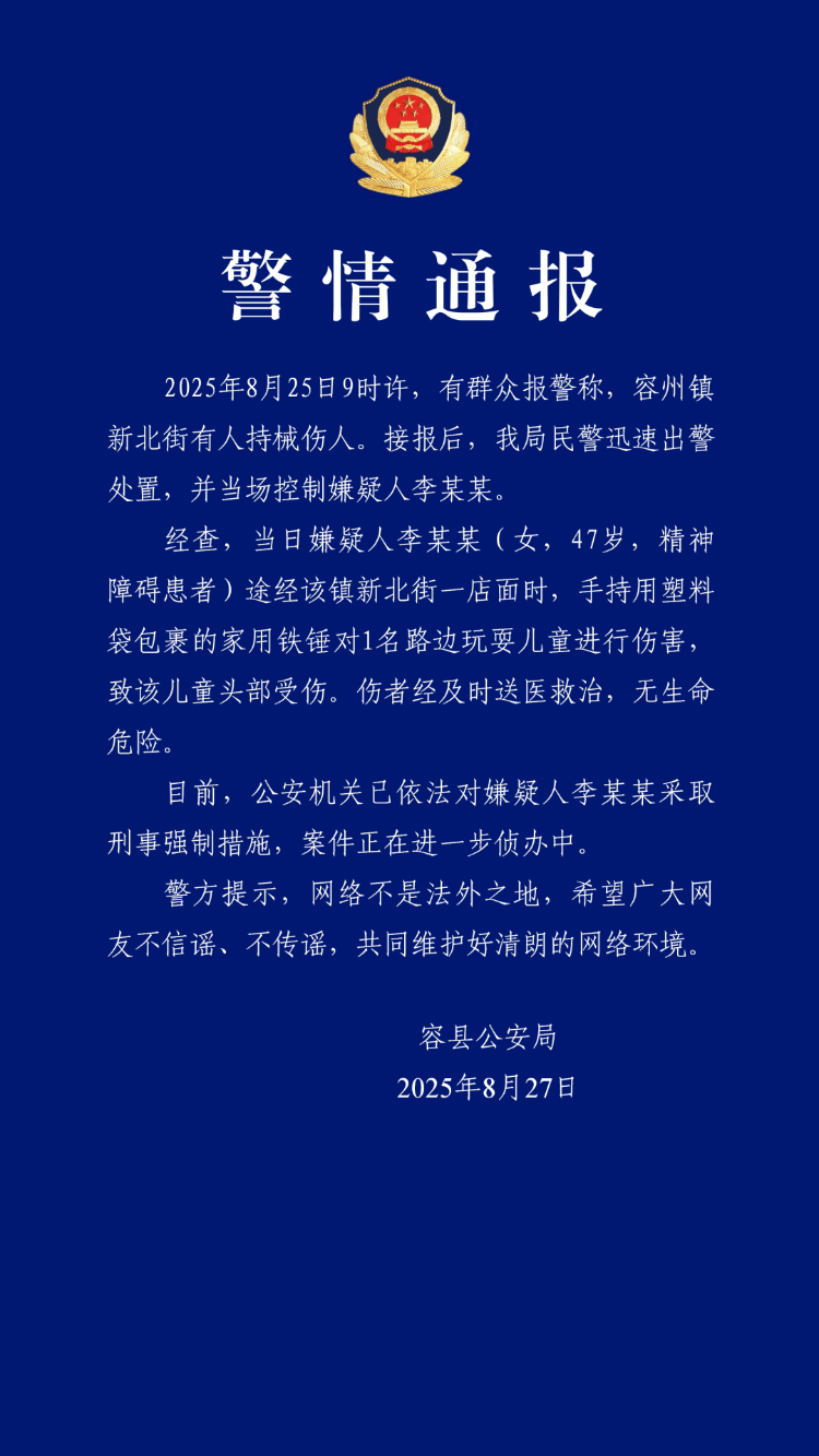 广西容县通报“女子用铁锤砸伤男孩头部”:嫌疑人为精神障碍患者,已采取刑事强制措施
