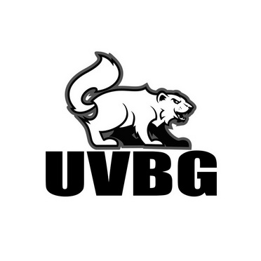Bgogo(bgogo是什么职位)